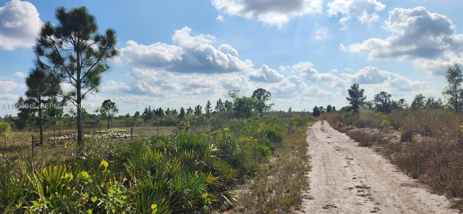 48345 Bermont Rd, Punta Gorda FL 33982