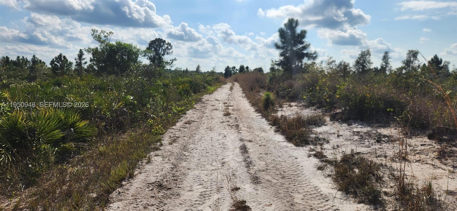 48345 Bermont Rd, Punta Gorda FL 33982