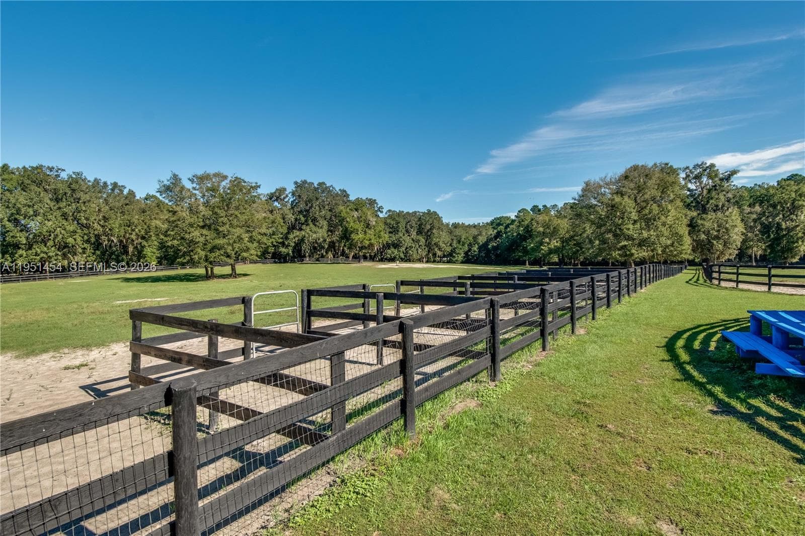7787 NW 150TH AVE, Ocala FL 32668