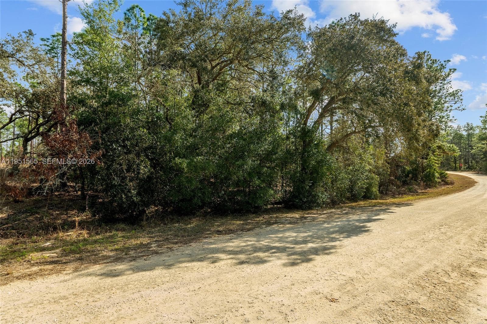TBD SW 128th Terrace Road, Ocala FL 34481