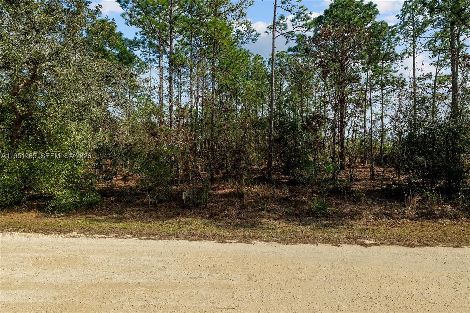 TBD SW 128th Terrace Road, Ocala FL 34481