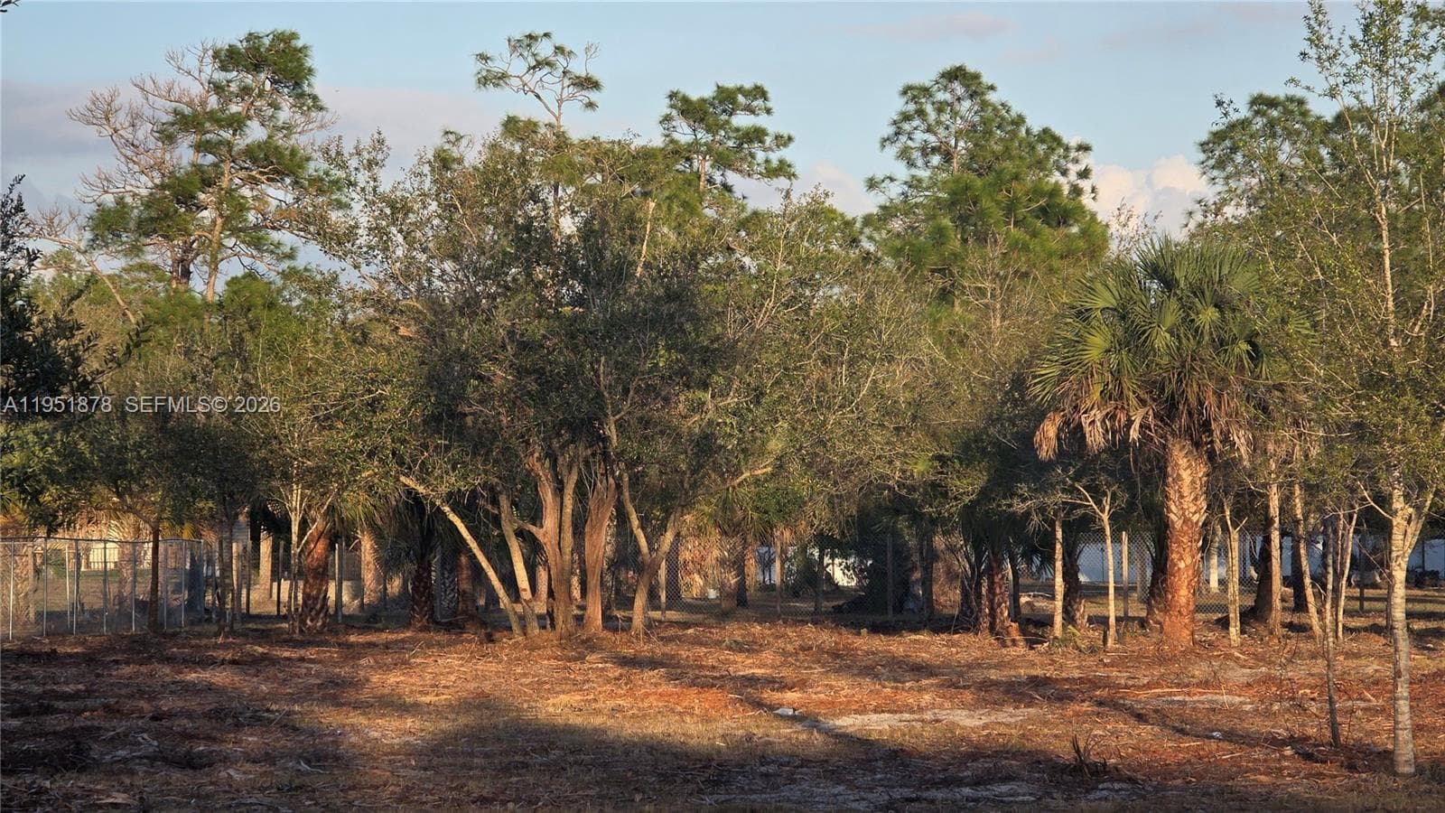 545 S Datil ST, Clewiston FL 33440
