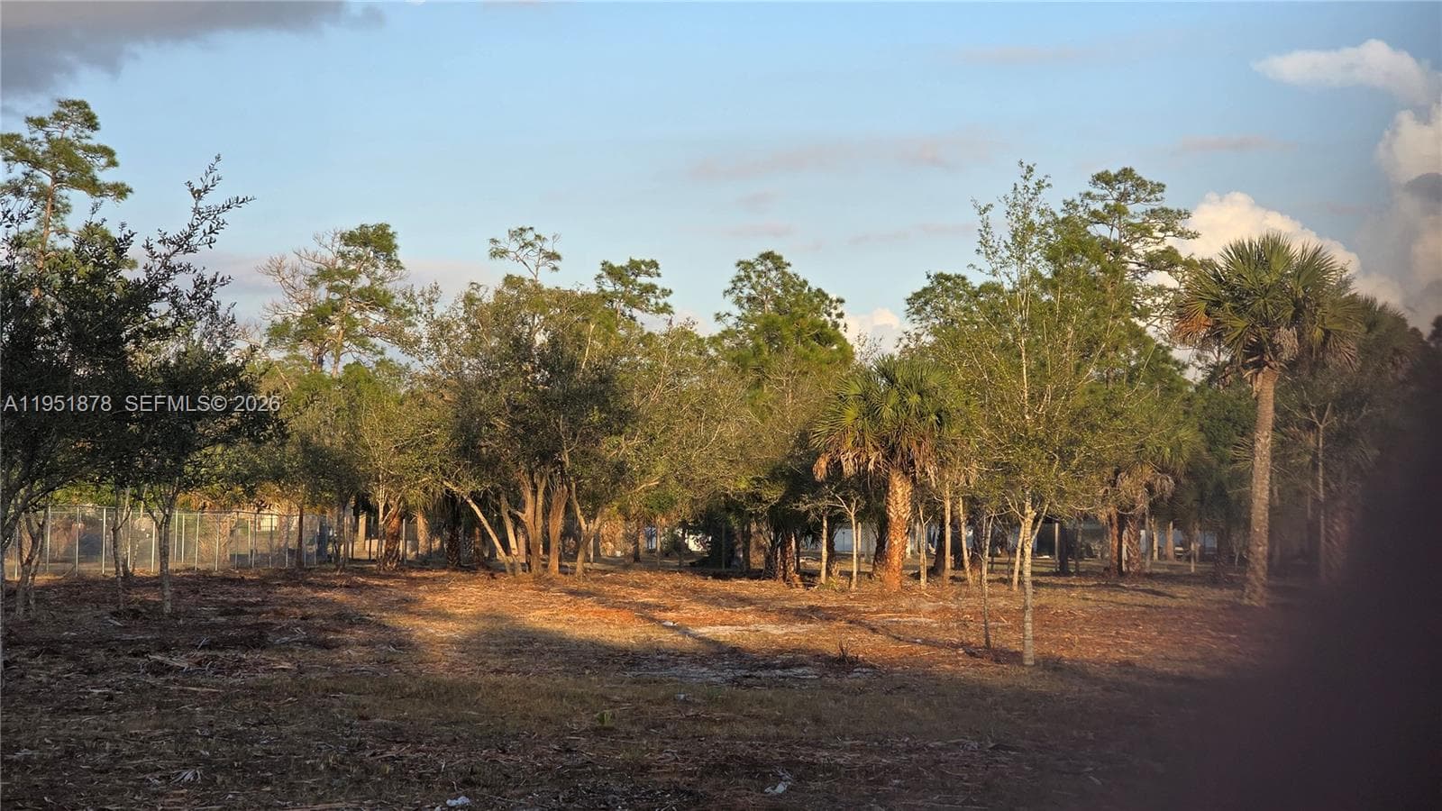 545 S Datil ST, Clewiston FL 33440