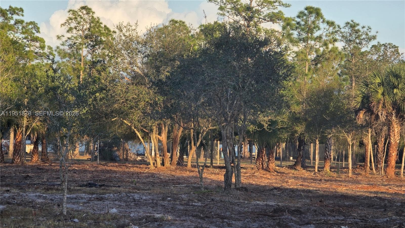 545 S Datil ST, Clewiston FL 33440