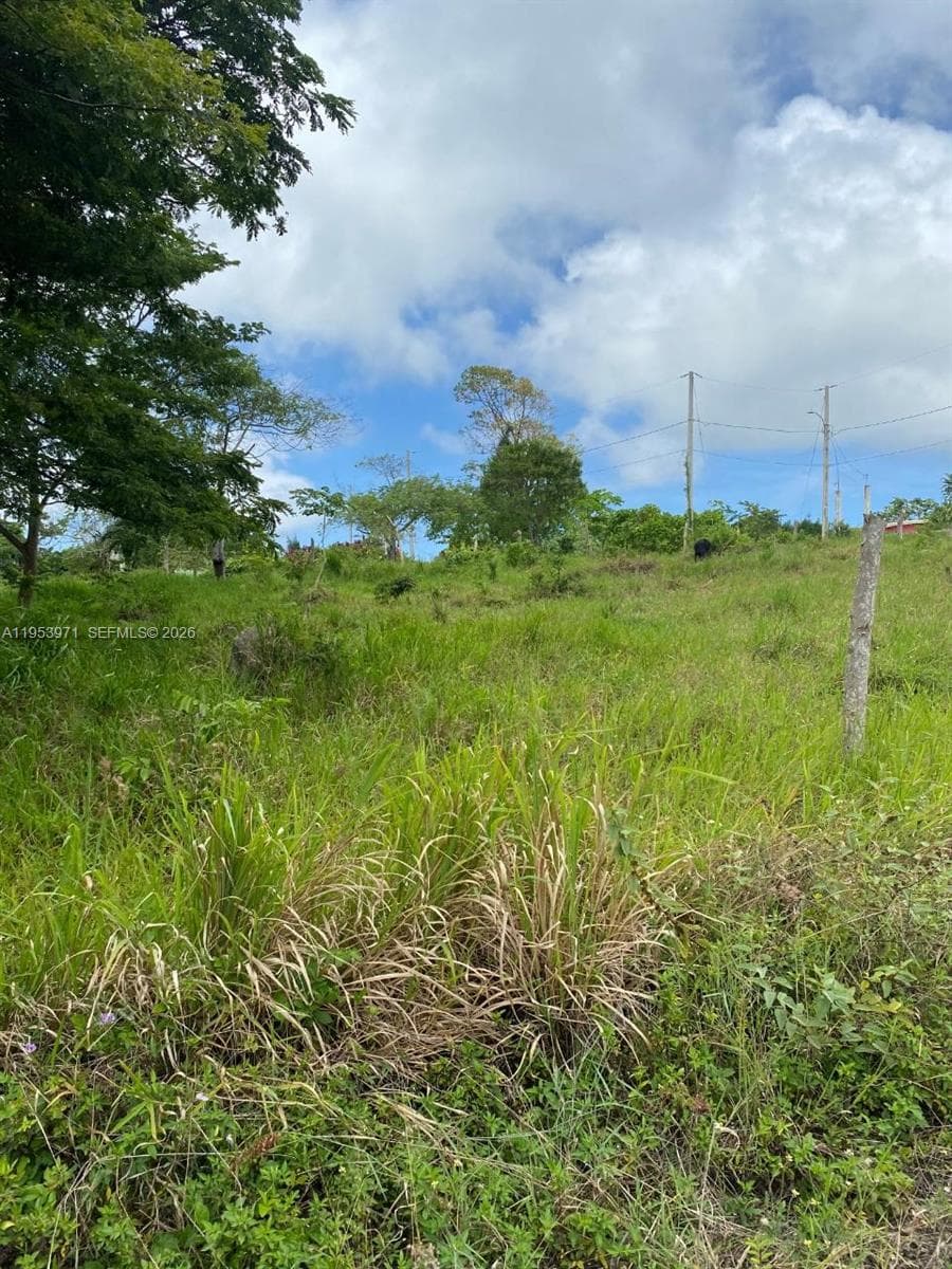 1 Colleyville, Manchester, Jamaica, FL