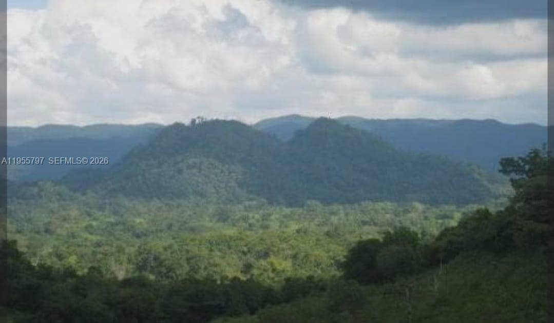 00 Ethel Town, Westmoreland, Jamaica