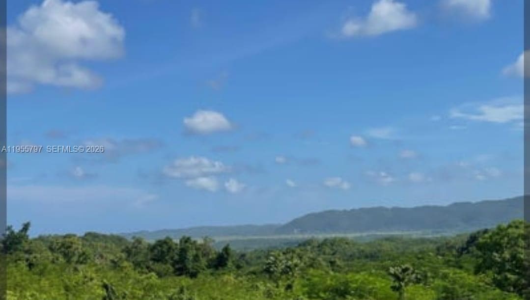 00 Ethel Town, Westmoreland, Jamaica