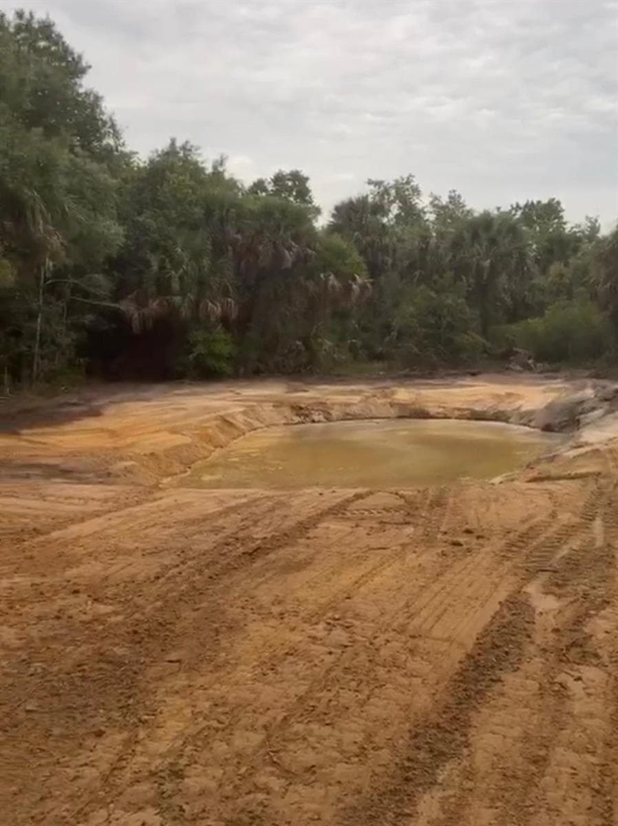 Pond