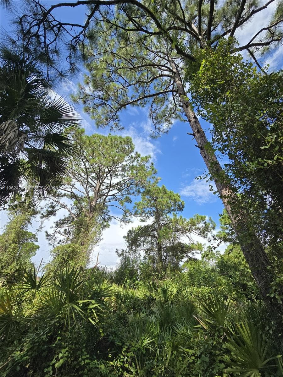 233 MALDEN AVE S, Lehigh Acres FL 33974