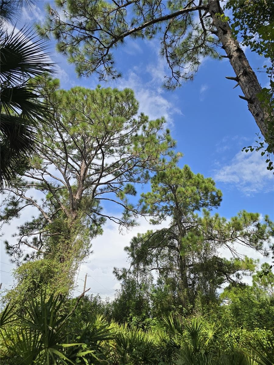 233 MALDEN AVE S, Lehigh Acres FL 33974