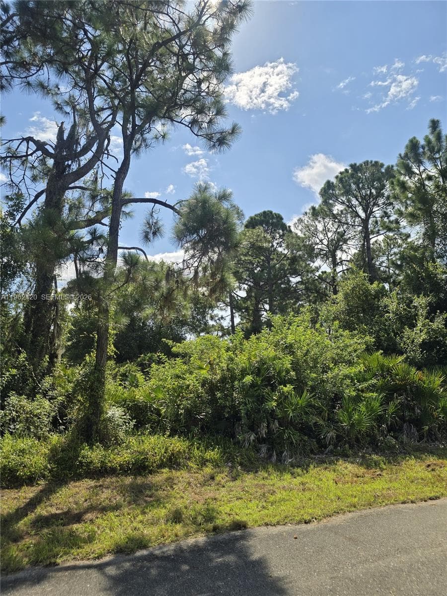 233 MALDEN AVE S, Lehigh Acres FL 33974