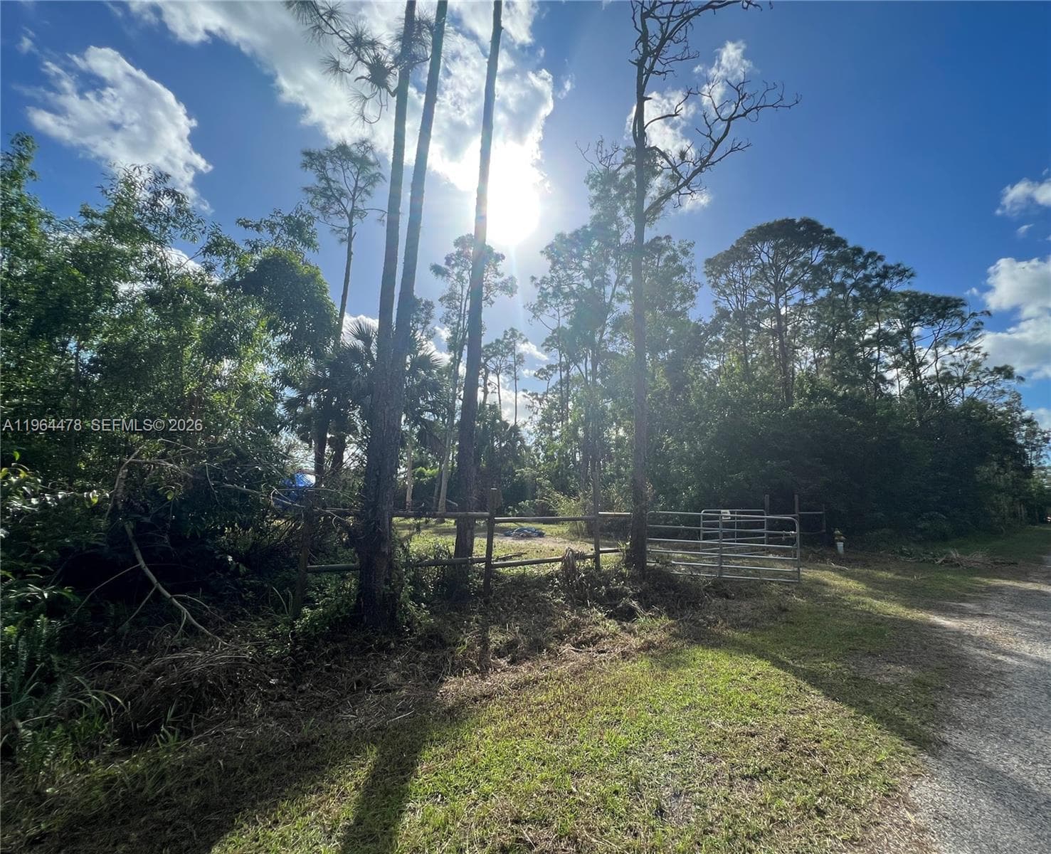 3050 Pine Tree Dr, Naples FL 34112