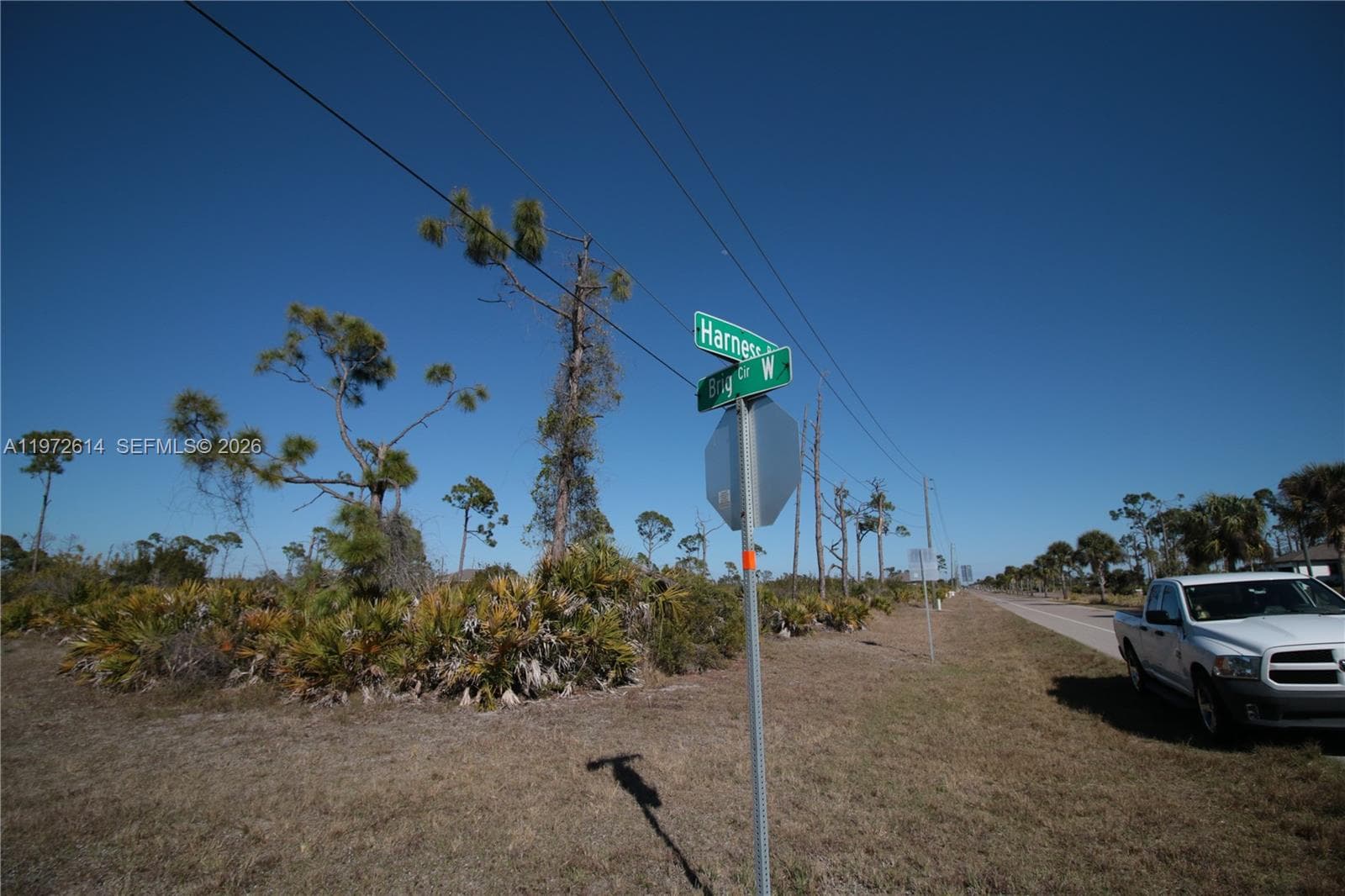 26 HARNESS, Other City - In The State Of Florida FL 33946
