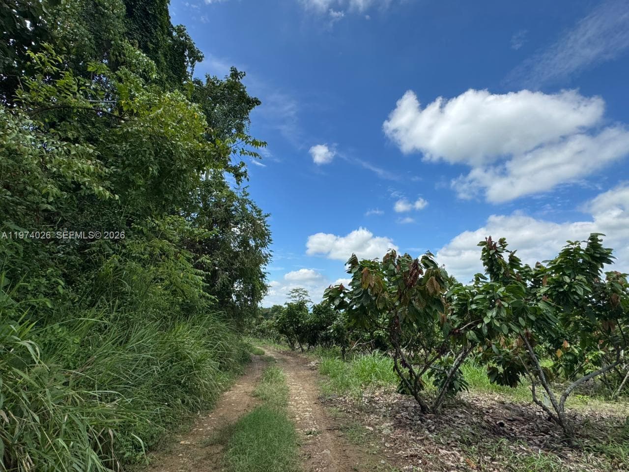 KM 40 VIA NARANJAL-GUAYAS, EC