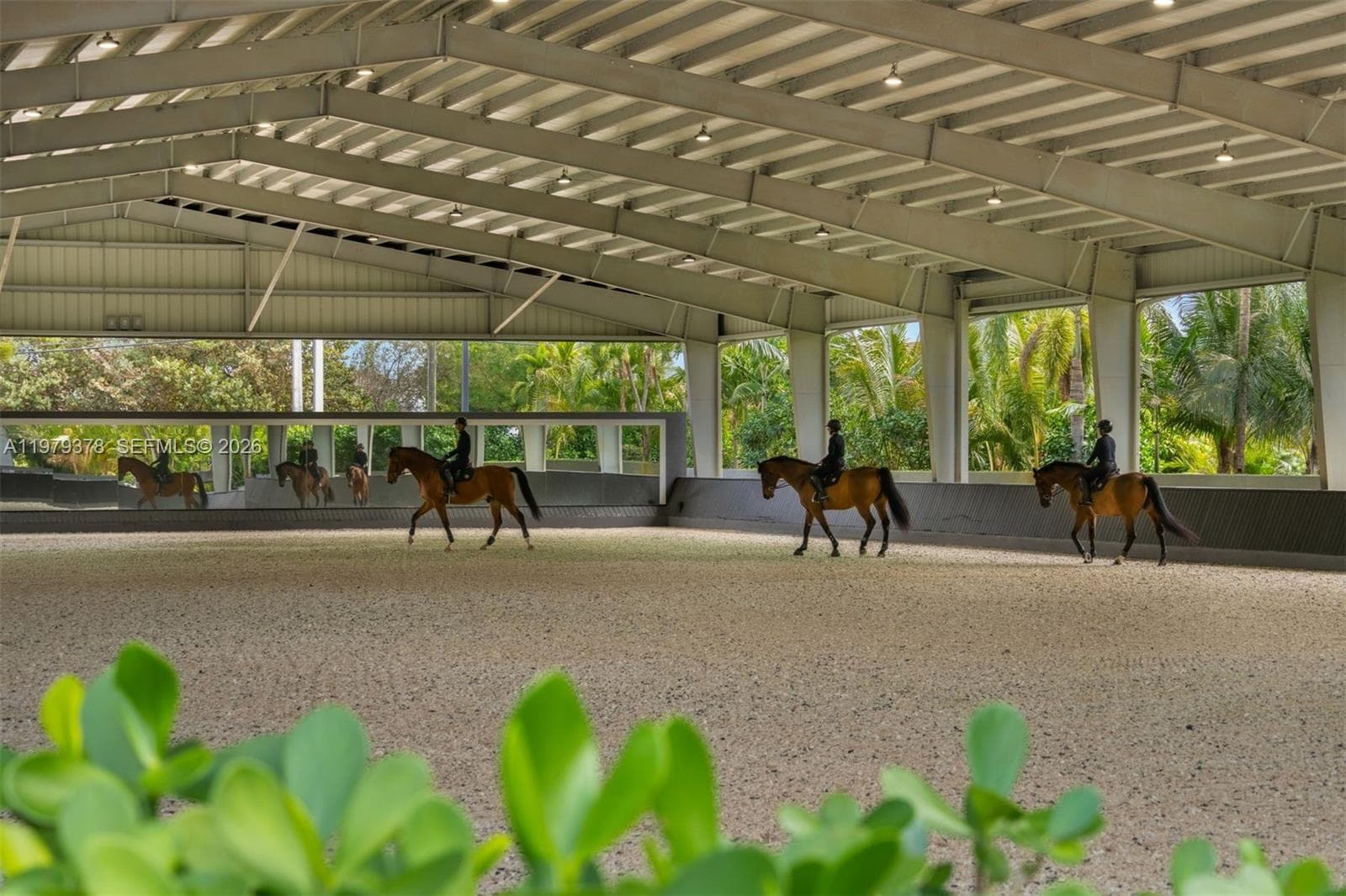 One of Broward's largest covered indoor arenas with sprinklers, lighting, and professional footing. (100' x 200')