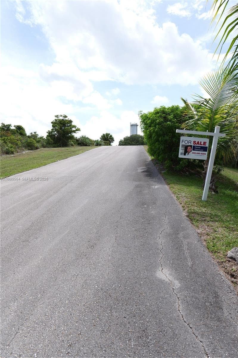 View up the road