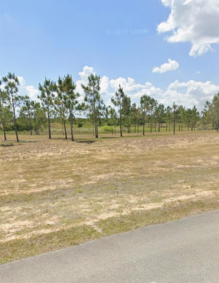 1009 ORANGE CREEK LN, Sebring FL 33870