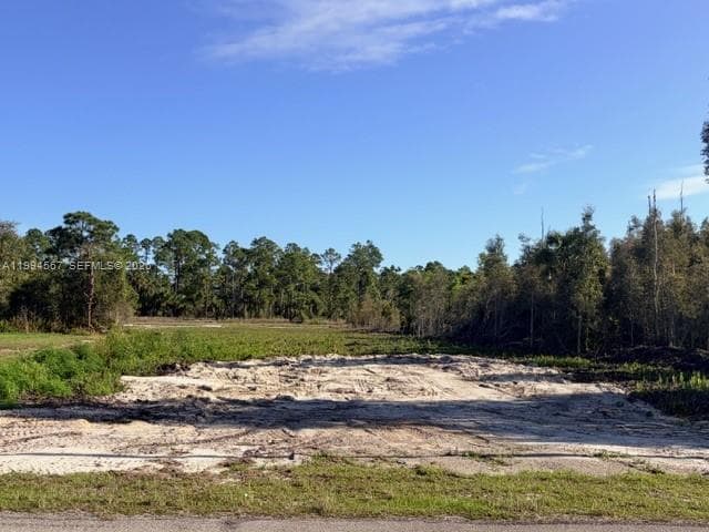 870 E Arturo St, Lehigh Acres FL 33974