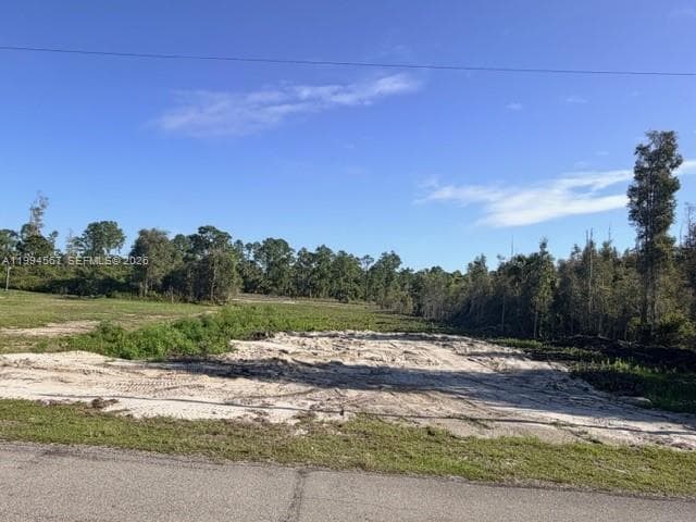 870 E Arturo St, Lehigh Acres FL 33974