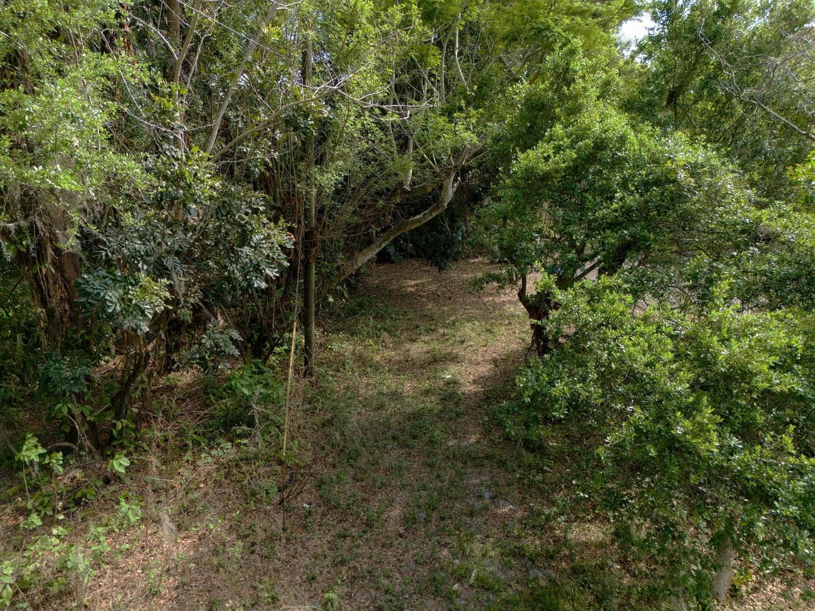 Fort Pierce, FL Land – View