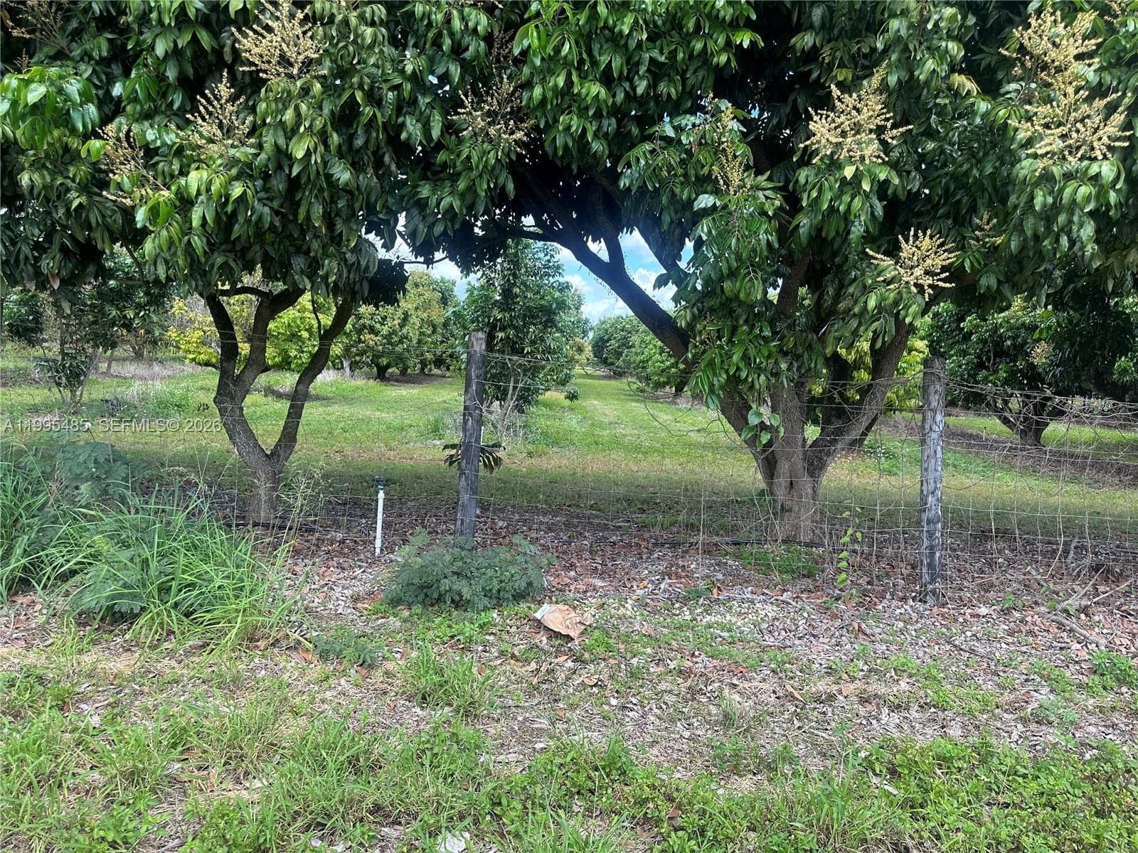 SW 344 St., Homestead FL 33034