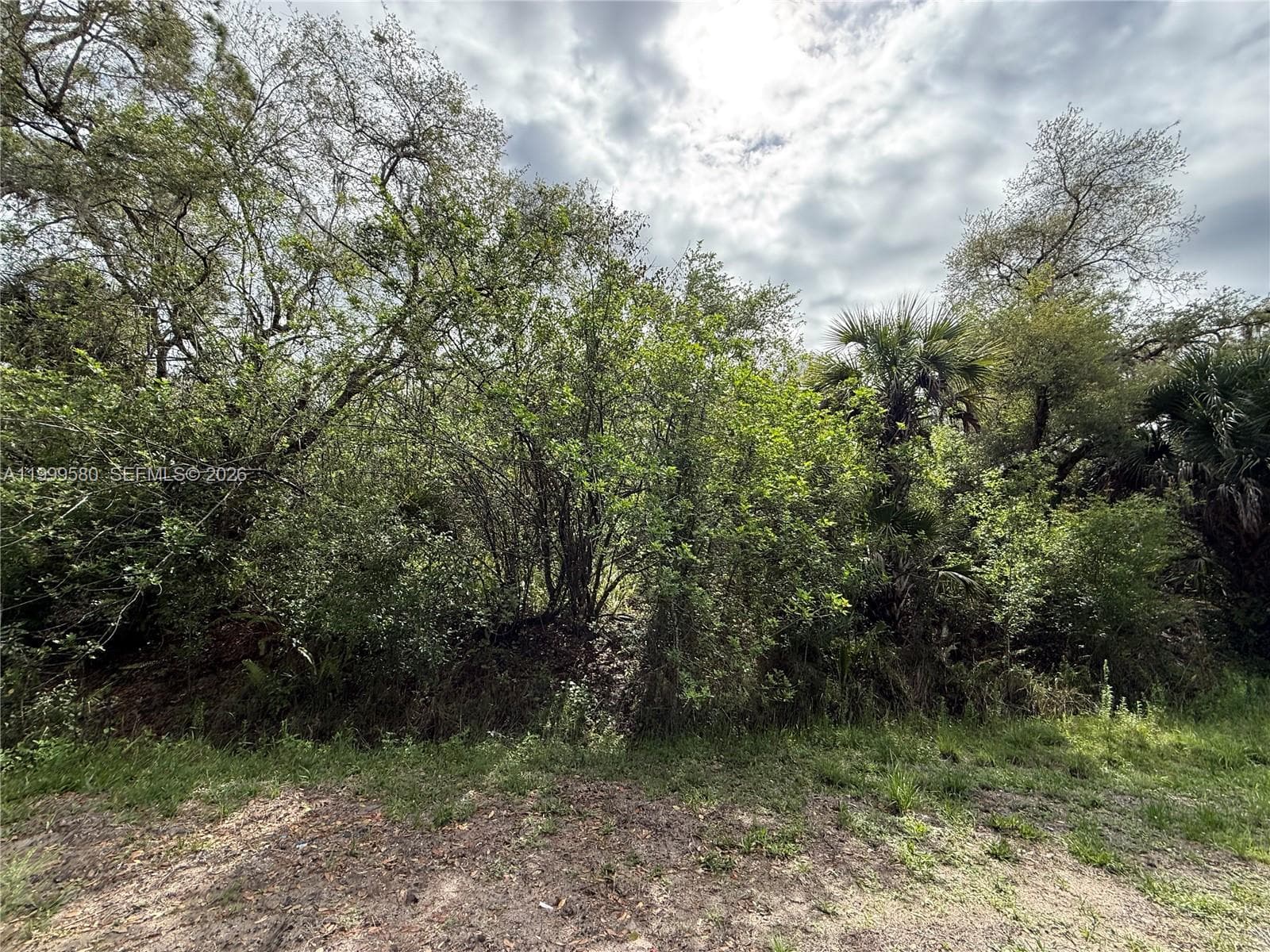 775 N ZAMBRIA ST, Clewiston FL 33440