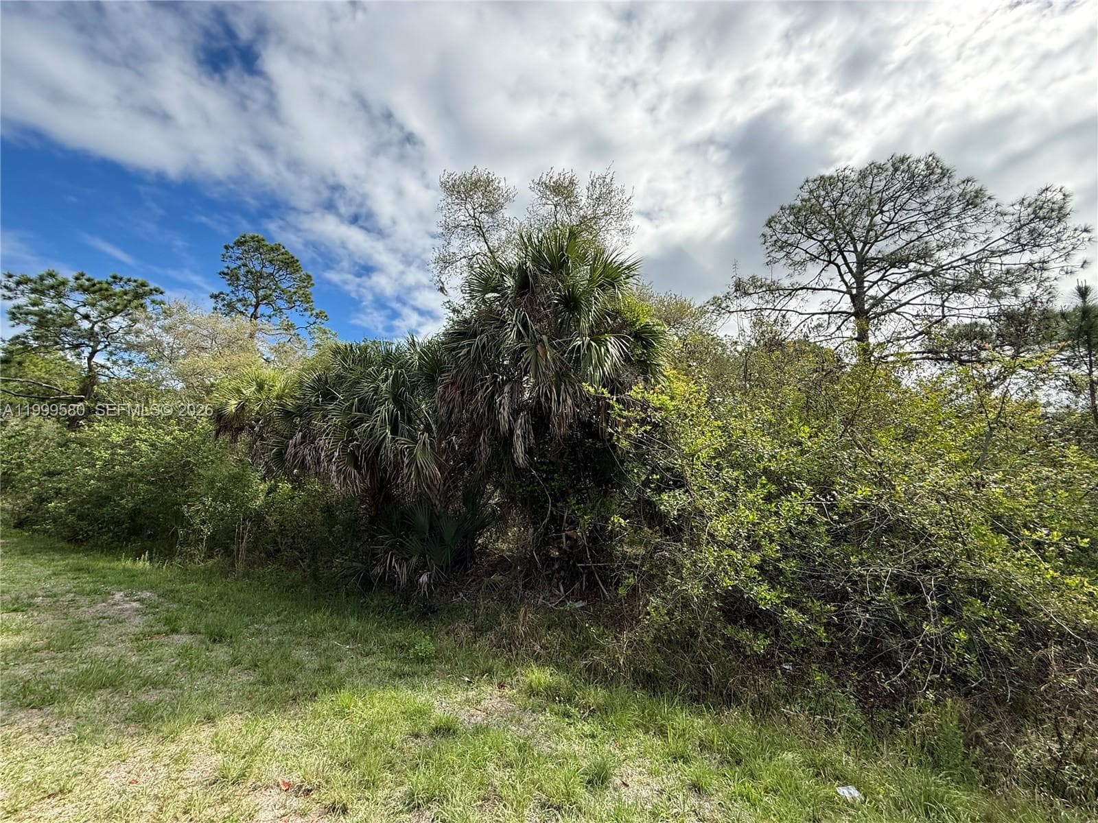 775 N ZAMBRIA ST, Clewiston FL 33440