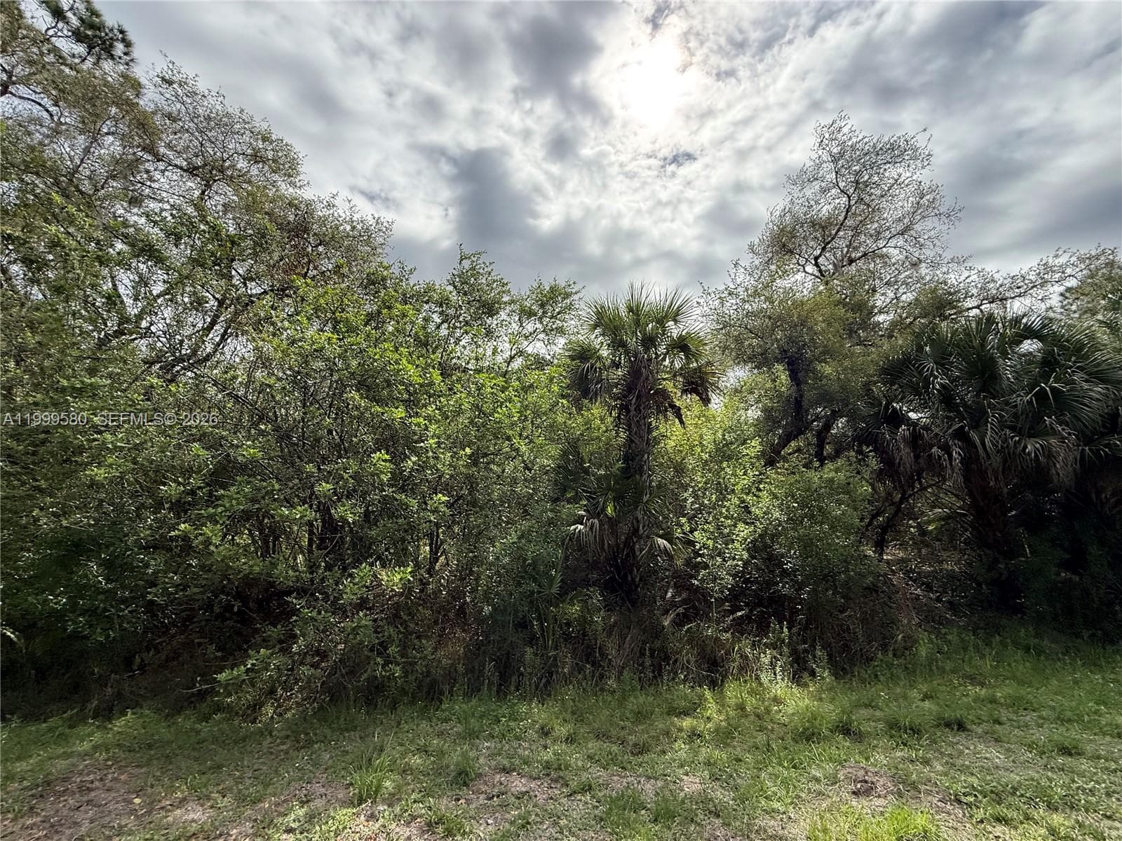 775 N ZAMBRIA ST, Clewiston FL 33440