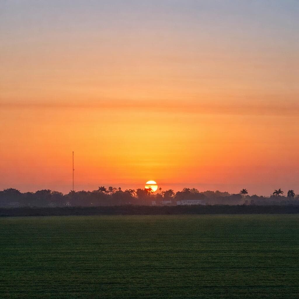 Sunrise