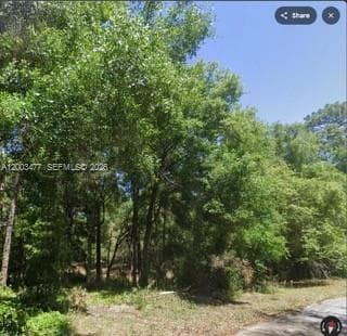 0 SW SW 97 PL, Dunnellon, Ocala FL 34432