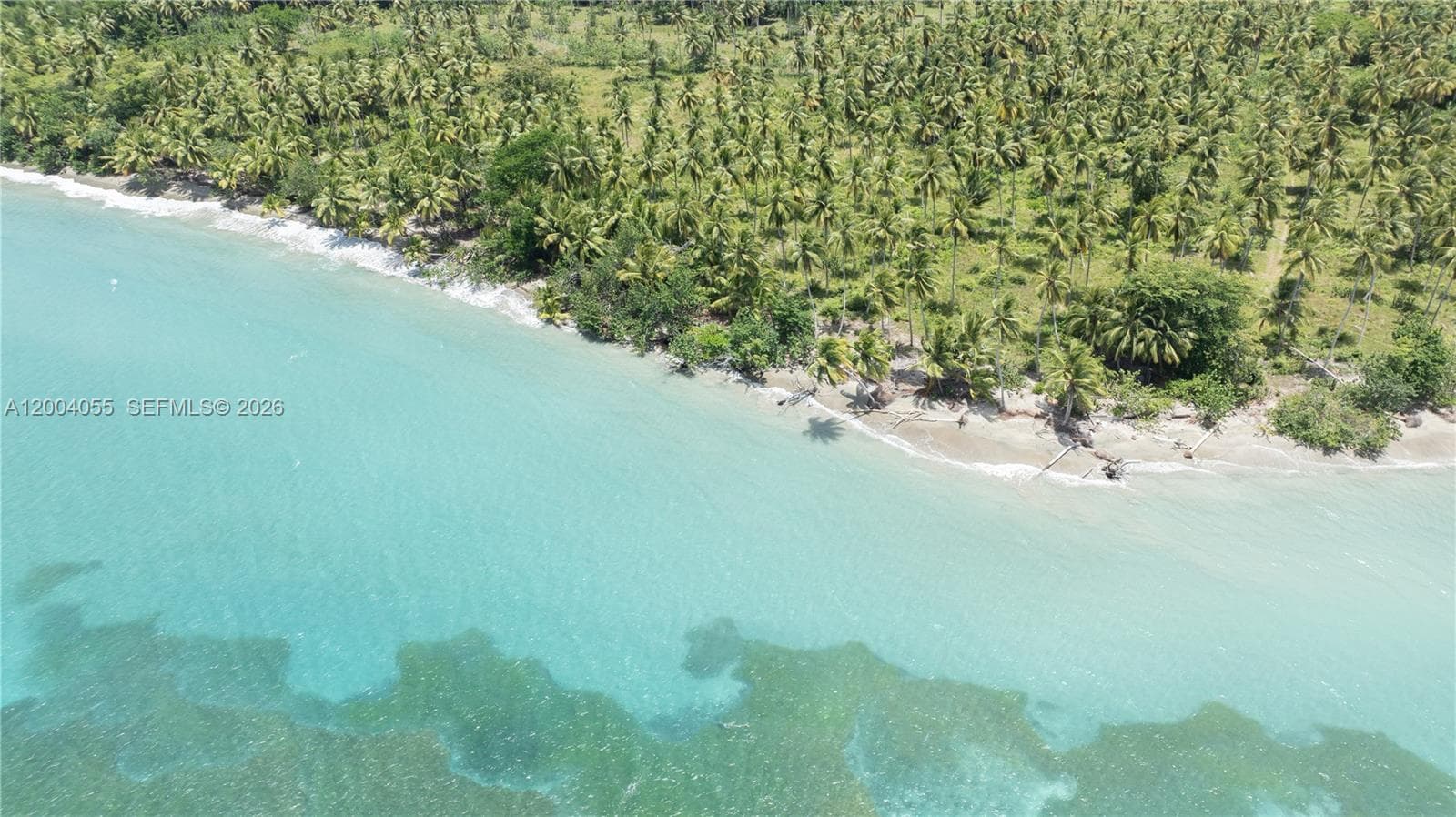 PLAYA MAGANTE, FL