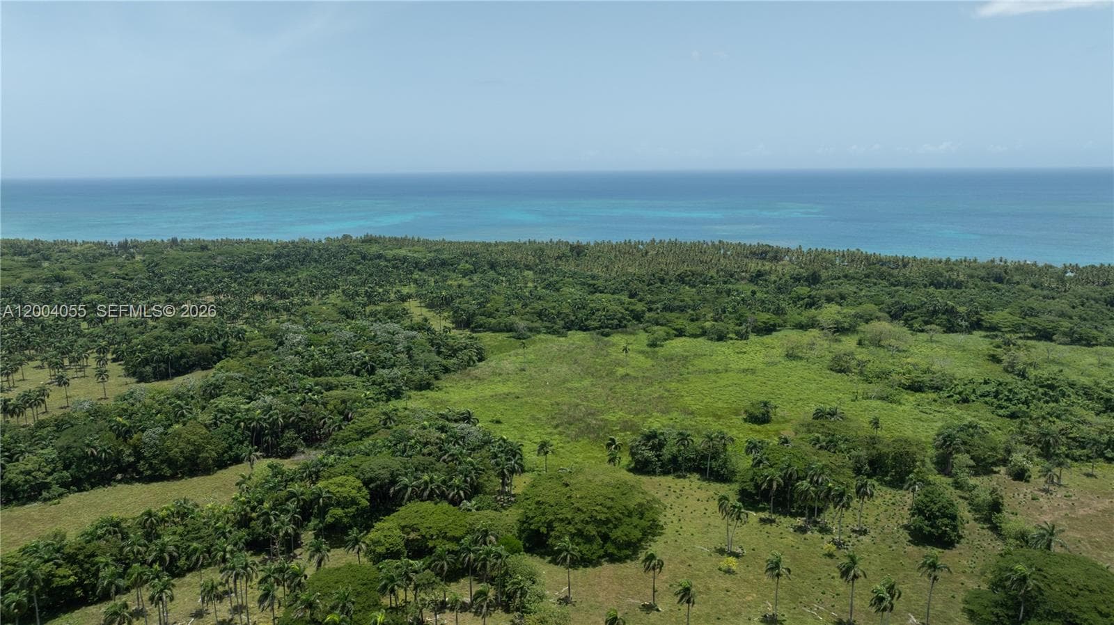PLAYA MAGANTE, FL