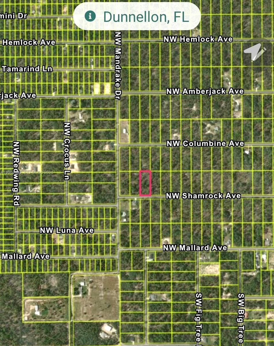 NO Situs NW Shamrock AVE, Other City - In The State Of Florida FL 34431
