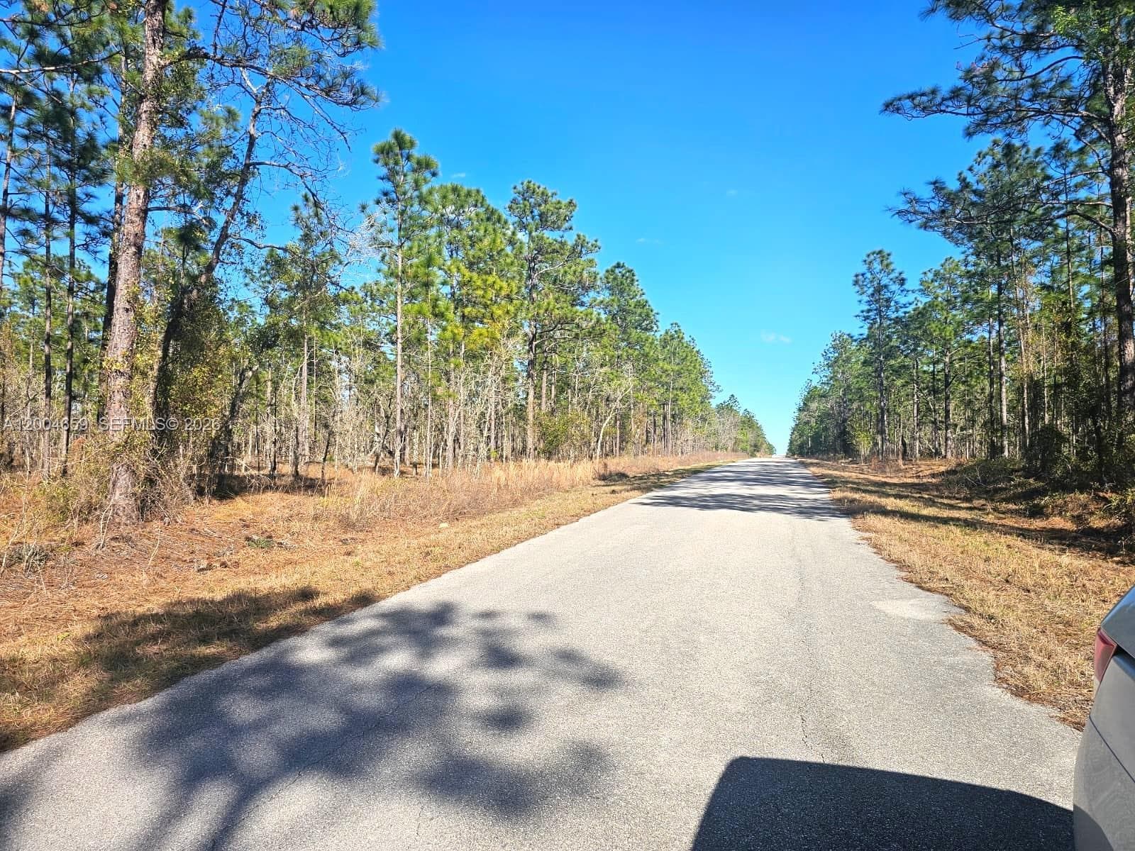 NO Situs NW Shamrock AVE, Other City - In The State Of Florida FL 34431