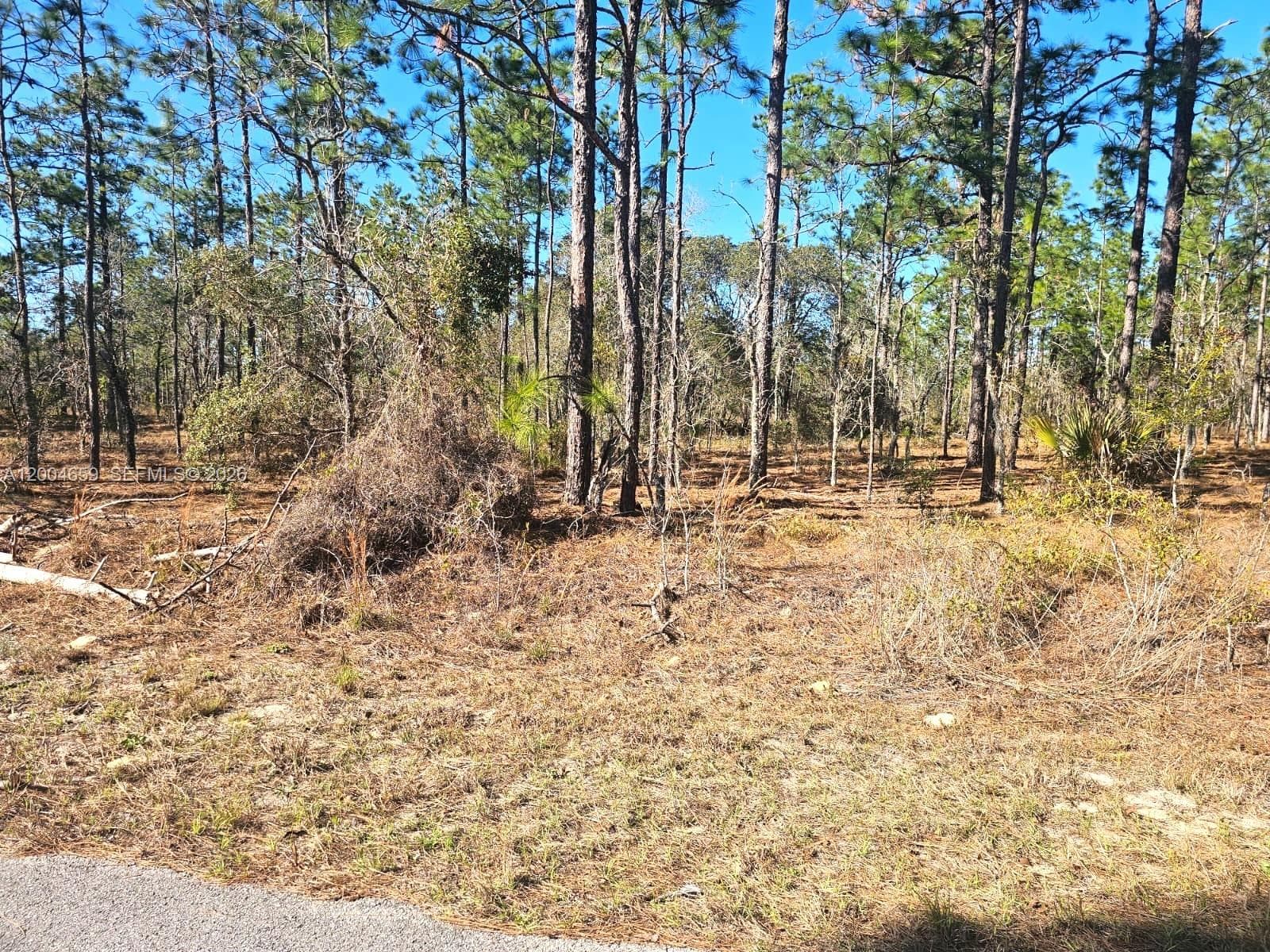 NO Situs NW Shamrock AVE, Other City - In The State Of Florida FL 34431