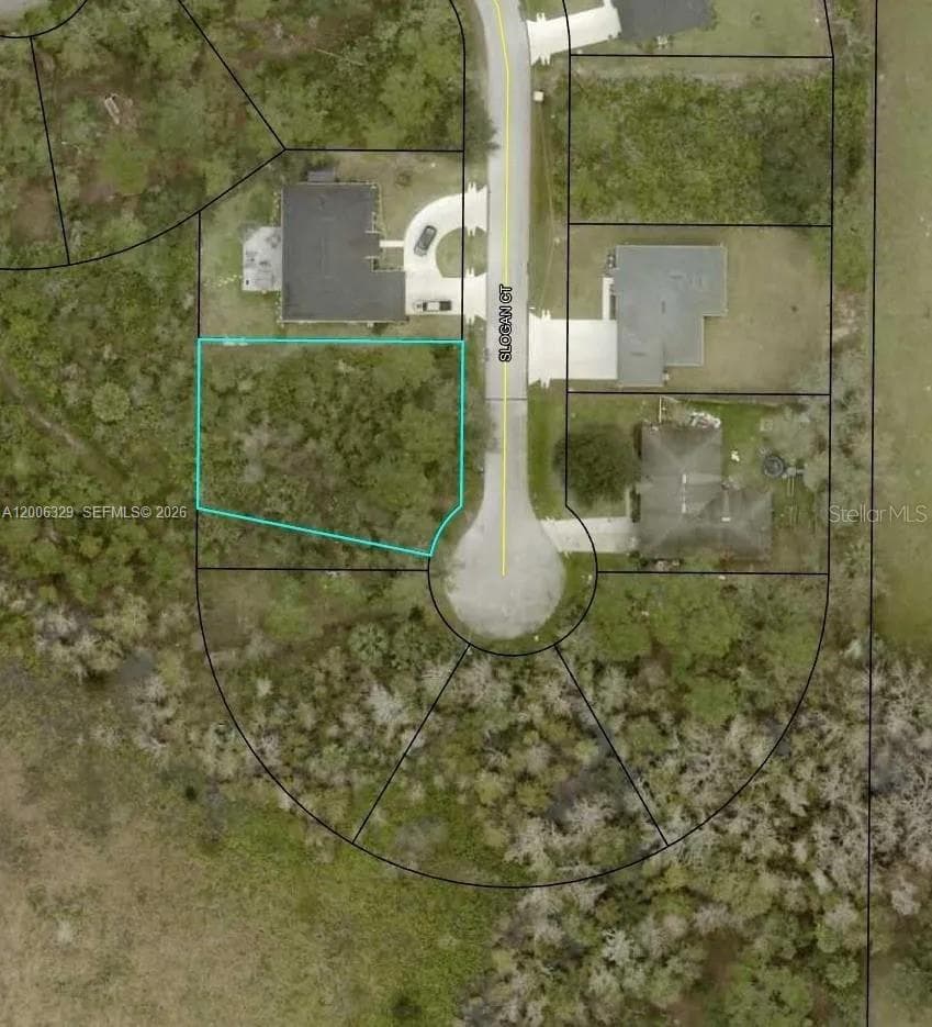Aerial Lot View