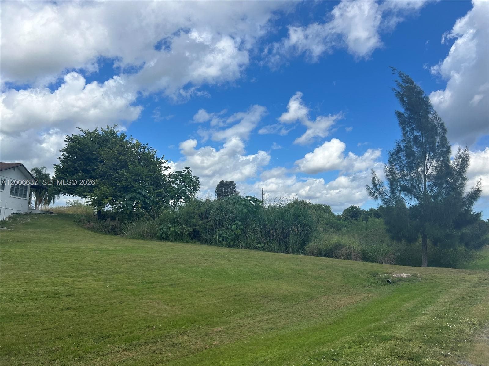 Lot view