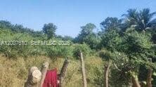 Zona Sur, Carretera del Litoral, Cangrejera