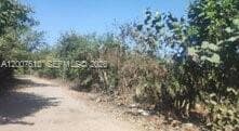 Zona Sur, Carretera del Litoral, Cangrejera