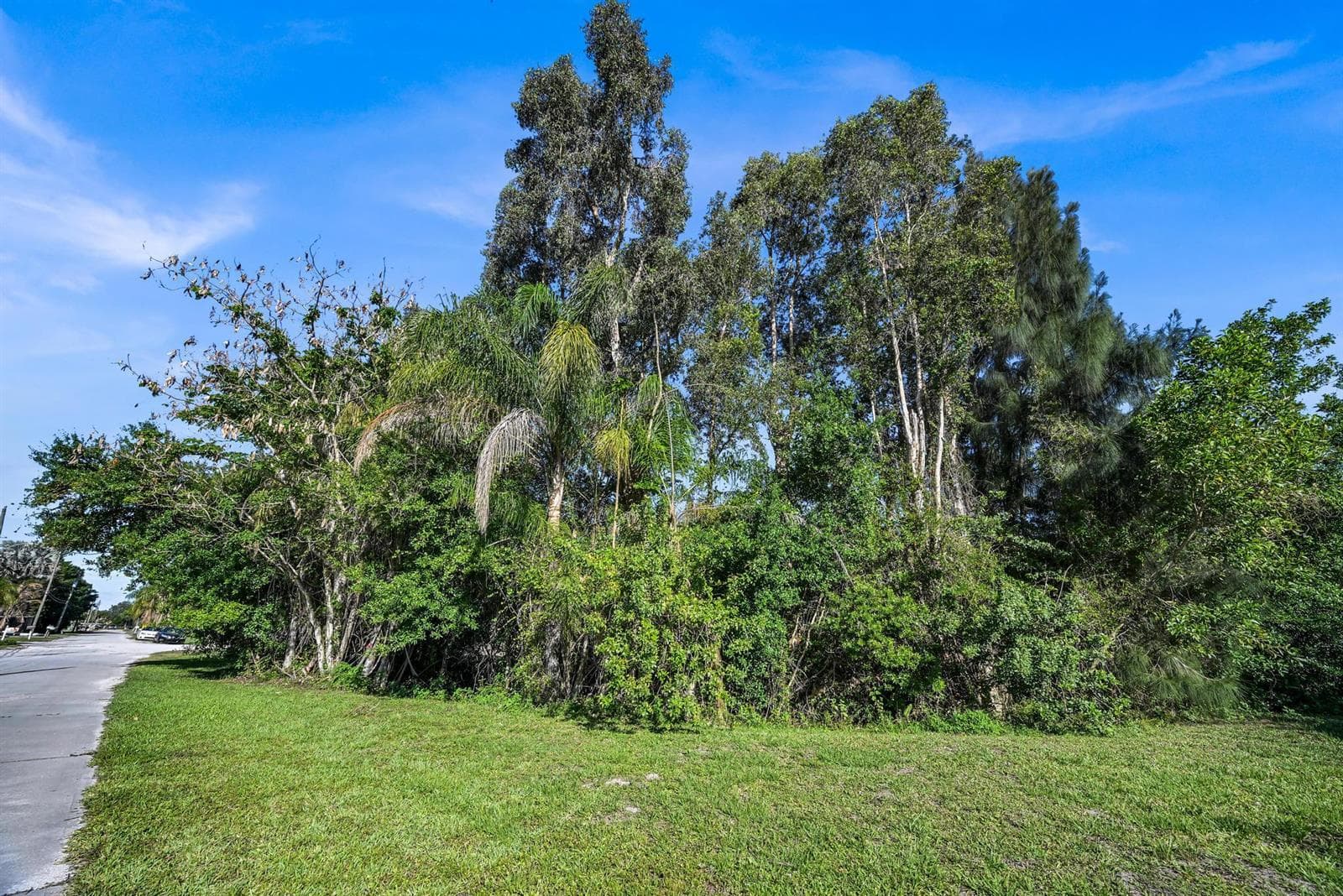 Z63_3532