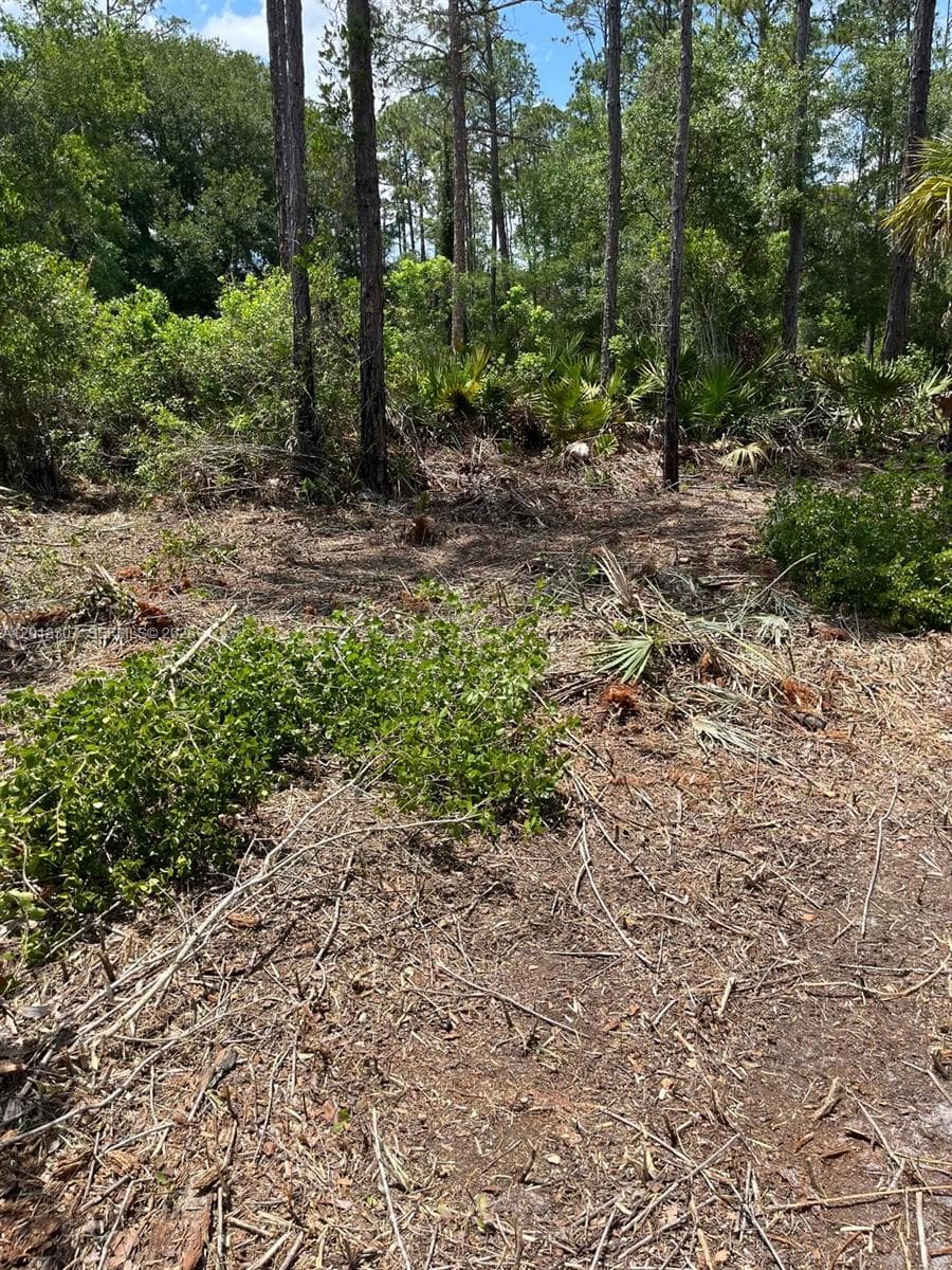 117 Lodge Pole Cir, Other City - In The State Of Florida FL 32139