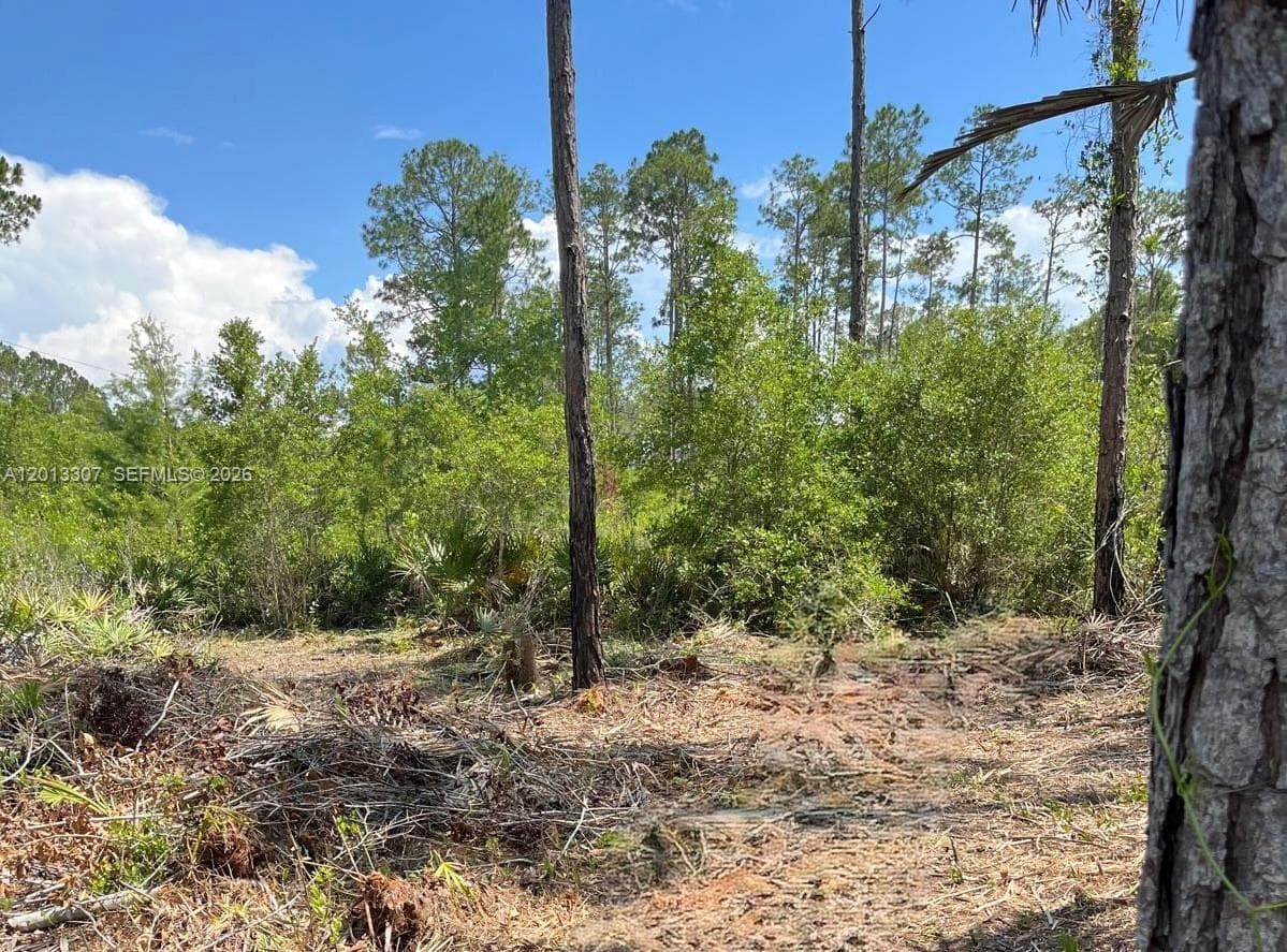 117 Lodge Pole Cir, Other City - In The State Of Florida FL 32139