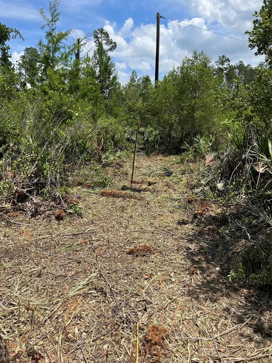 117 Lodge Pole Cir, Other City - In The State Of Florida FL 32139