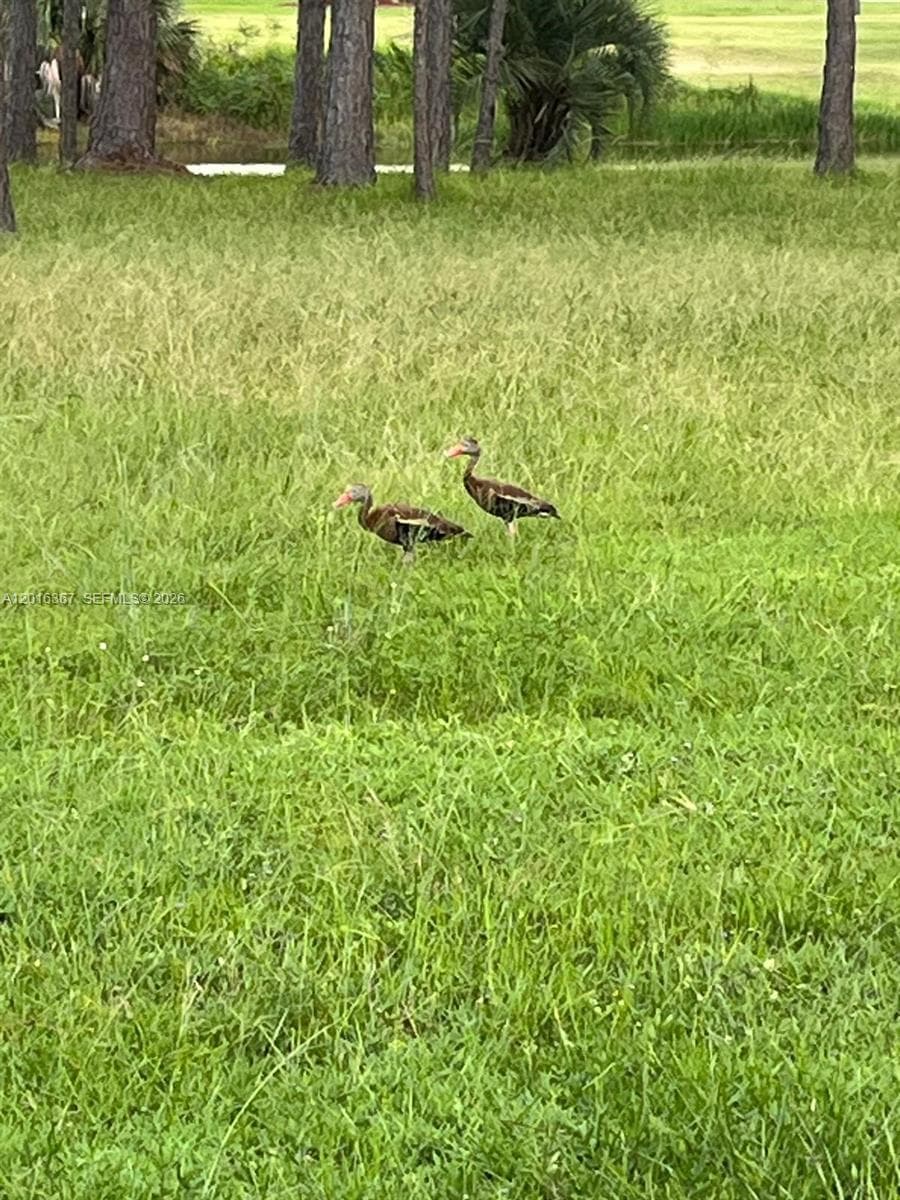 0 valencia, Lake Wales FL 33855