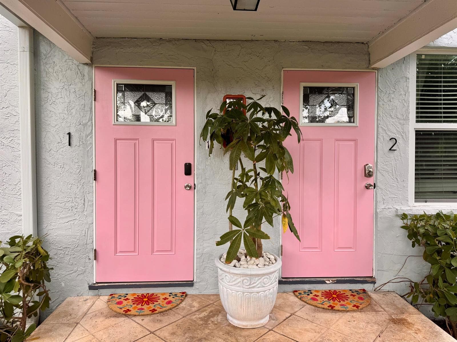 Impact Windows and Doors