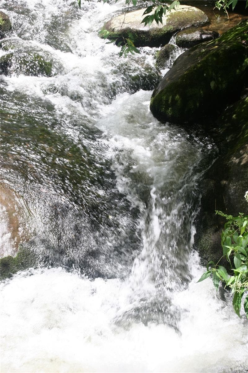 CERRO PUNTA, Panama, Rep of Panama