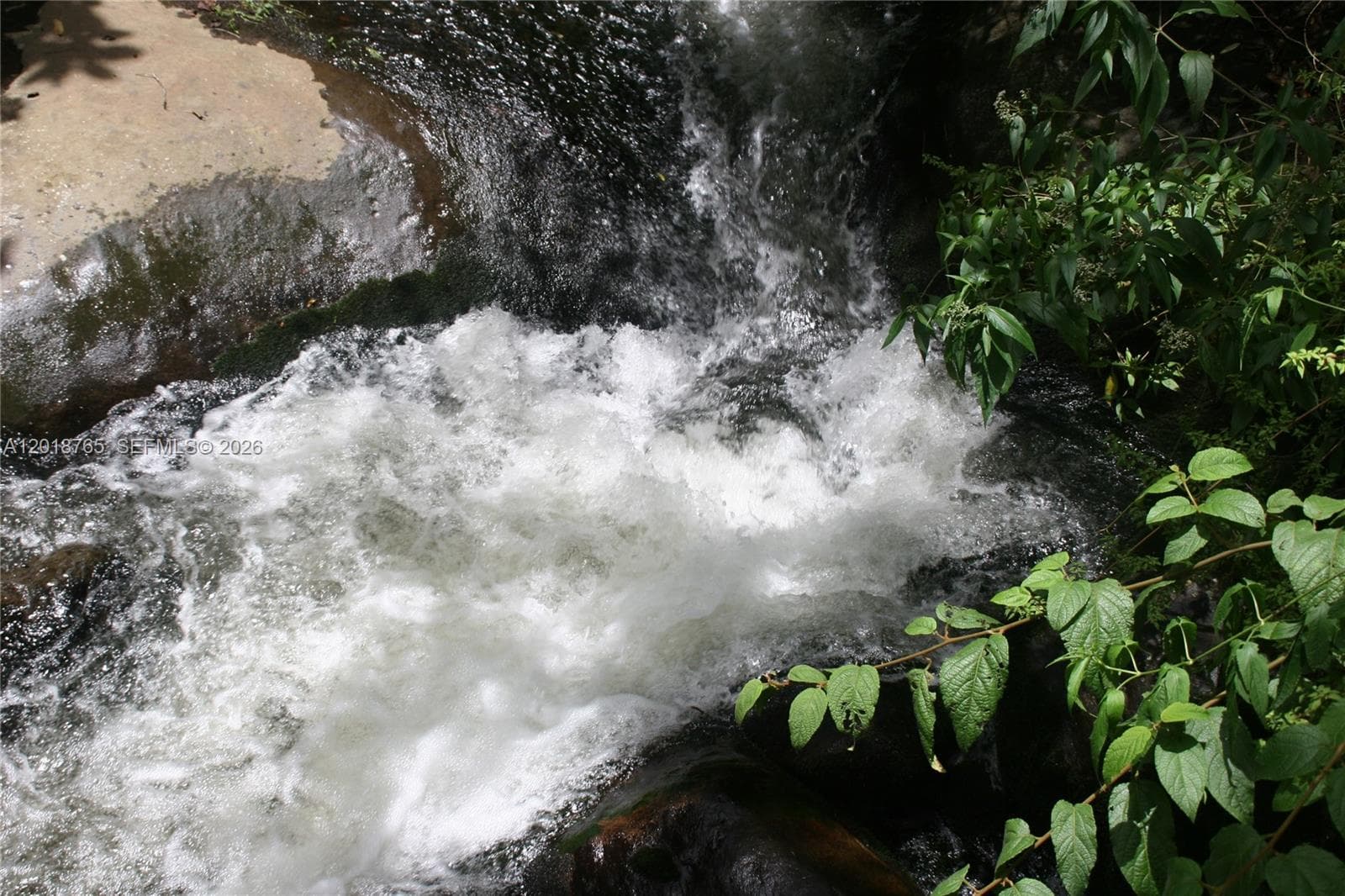 CERRO PUNTA, Panama, Rep of Panama