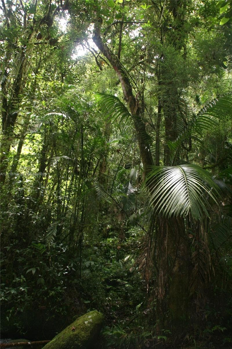 CERRO PUNTA, Panama, Rep of Panama