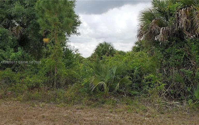 523 Montclair ave s, Lehigh Acres FL 33974