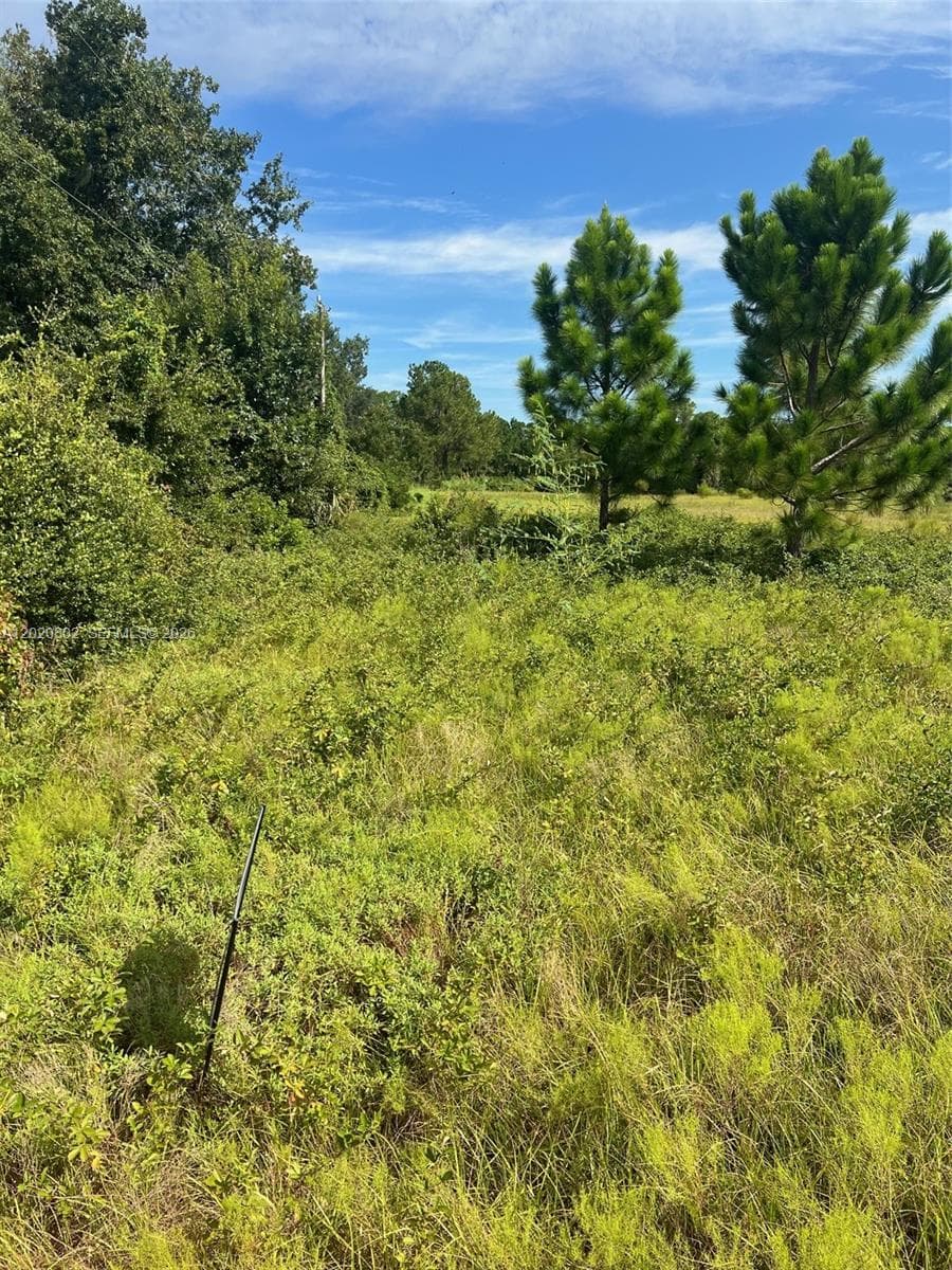 Huntington Shortcut Rd, Cresent City FL 32112
